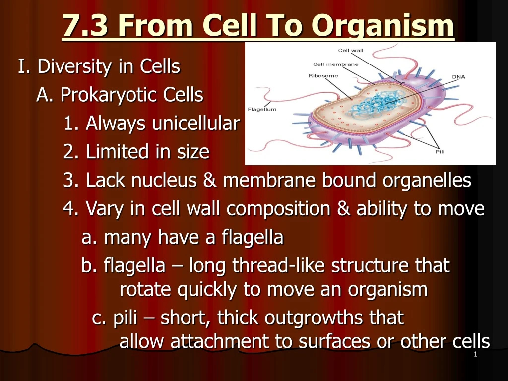 7 3 from cell to organism