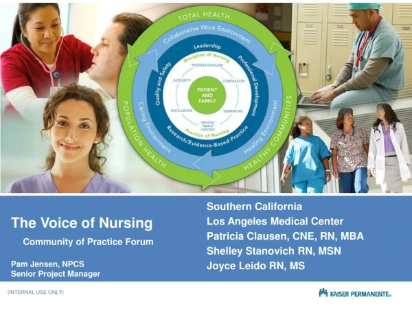 The Voice of Nursing Community of Practice Forum Pam Jensen, NPCS Senior Project Manager