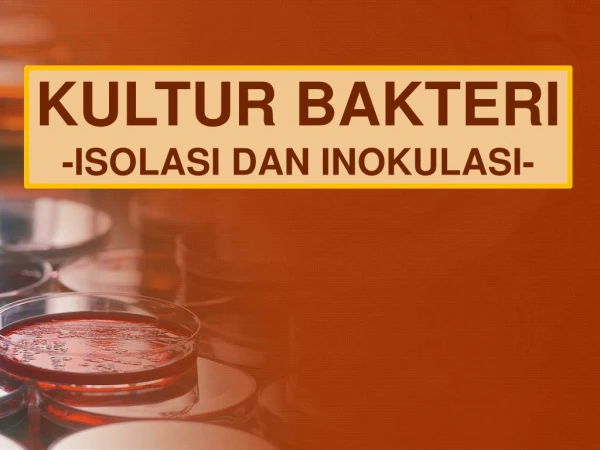 KULTUR BAKTERI -ISOLASI DAN INOKULASI-