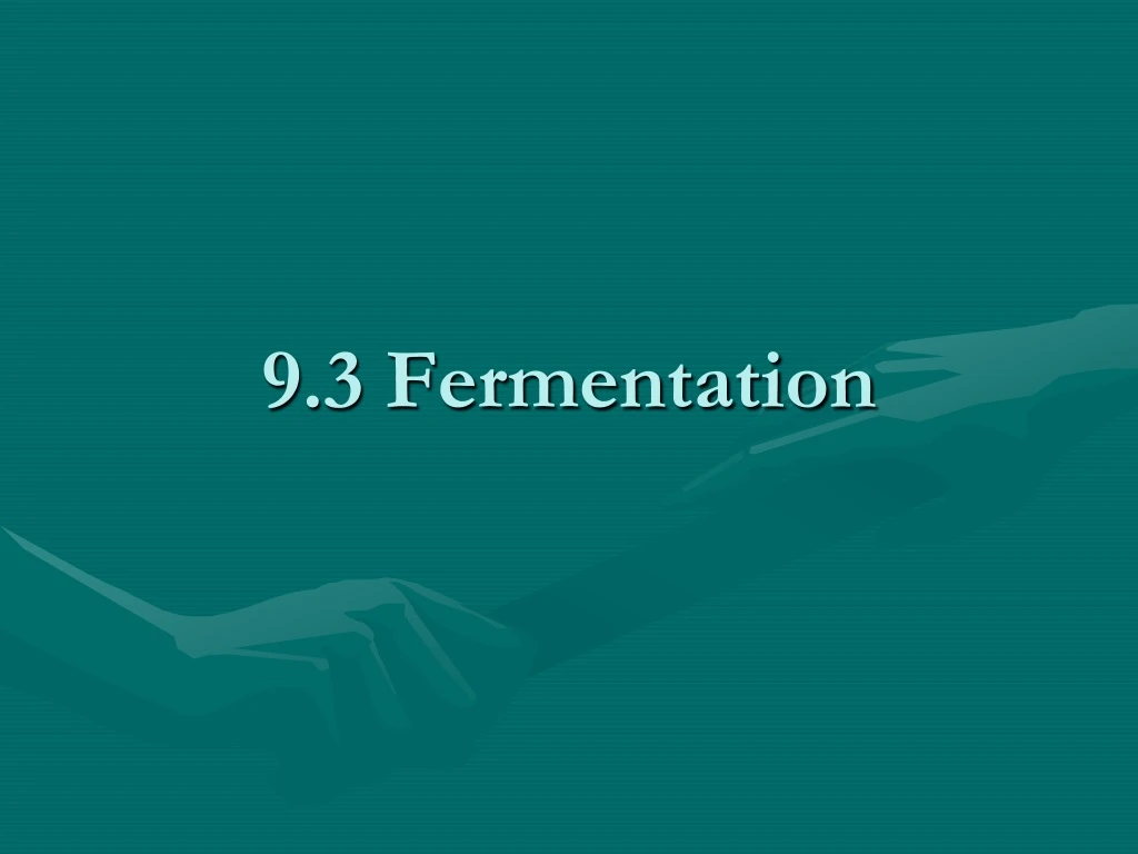 9 3 fermentation