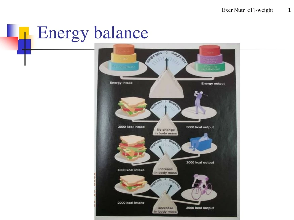 energy balance