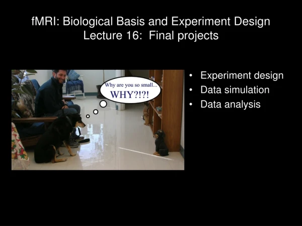 fMRI: Biological Basis and Experiment Design Lecture 16:  Final projects