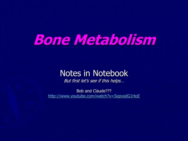 Bone Metabolism