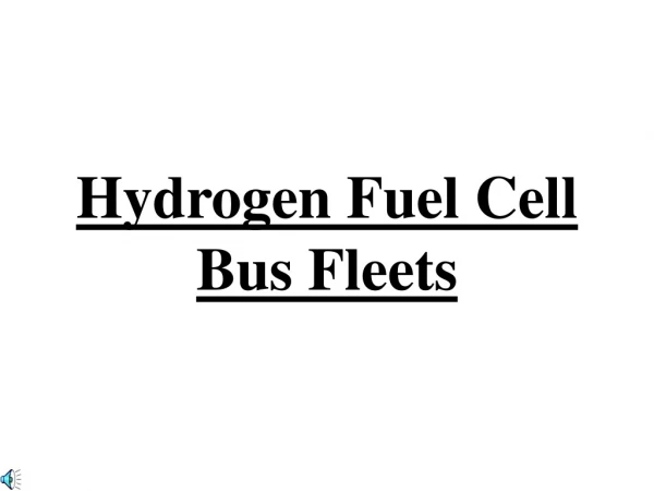 Hydrogen Fuel Cell  Bus Fleets