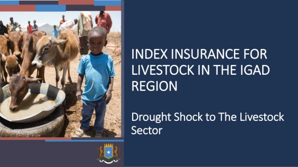 INDEX INSURANCE FOR  LIVESTOCK IN THE IGAD  REGION Drought Shock to The Livestock  Sector