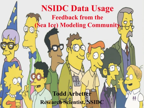 NSIDC Data Usage Feedback from the  (Sea Ice) Modeling Community