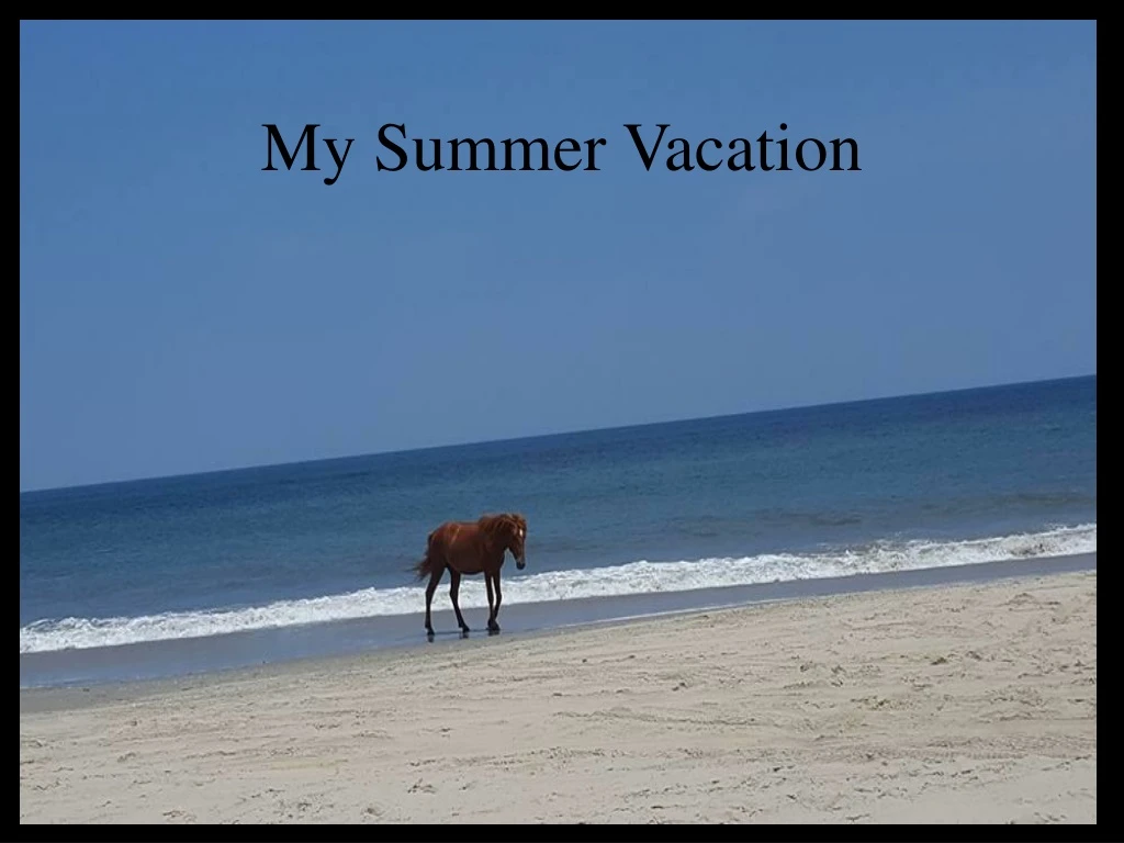 my summer vacation