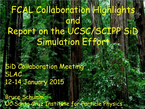 FCAL Collaboration Highlights and Report on the UCSC/SCIPP SiD Simulation Effort