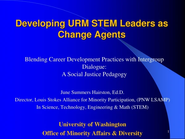 Developing URM STEM Leaders as Change Agents