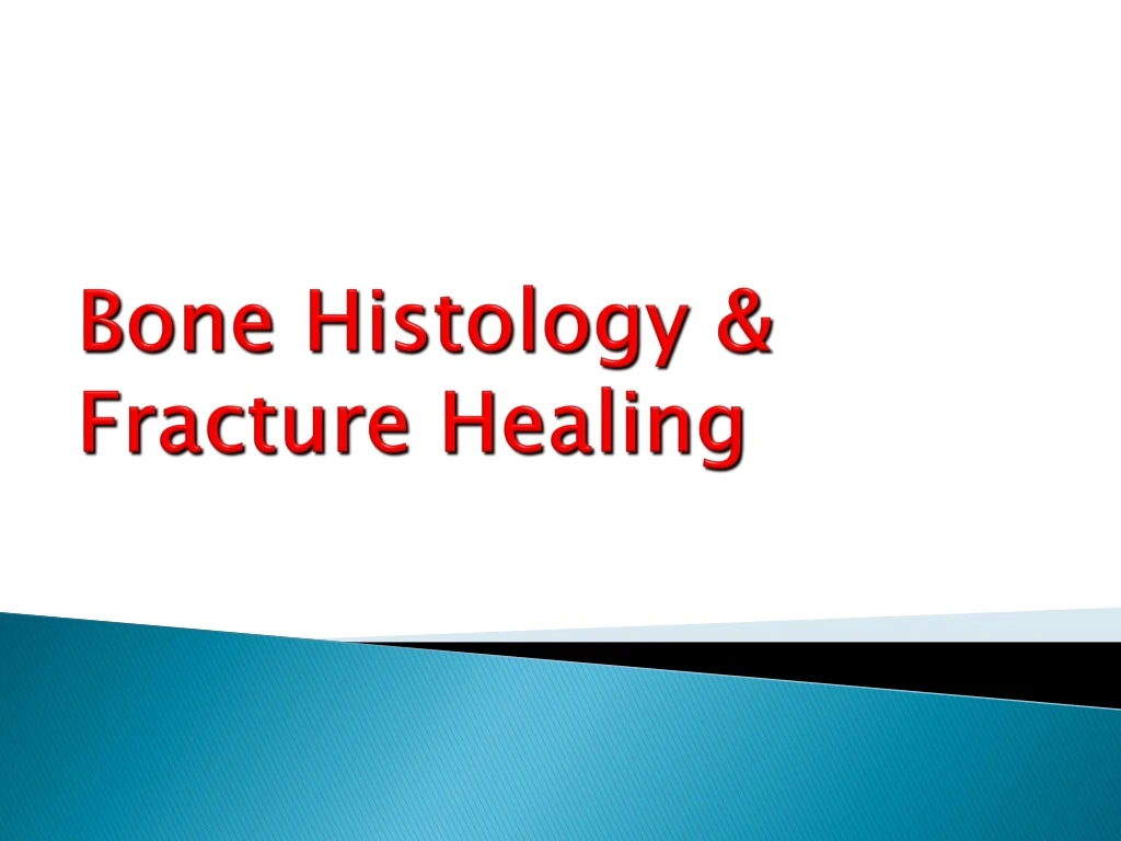 bone histology fracture healing