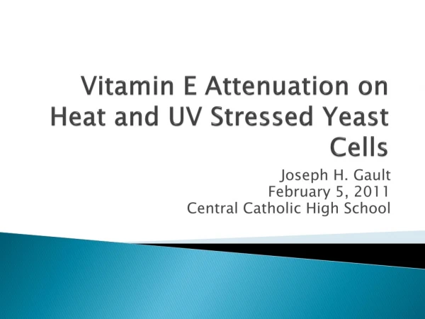 Vitamin E Attenuation on Heat and UV Stressed Yeast Cells