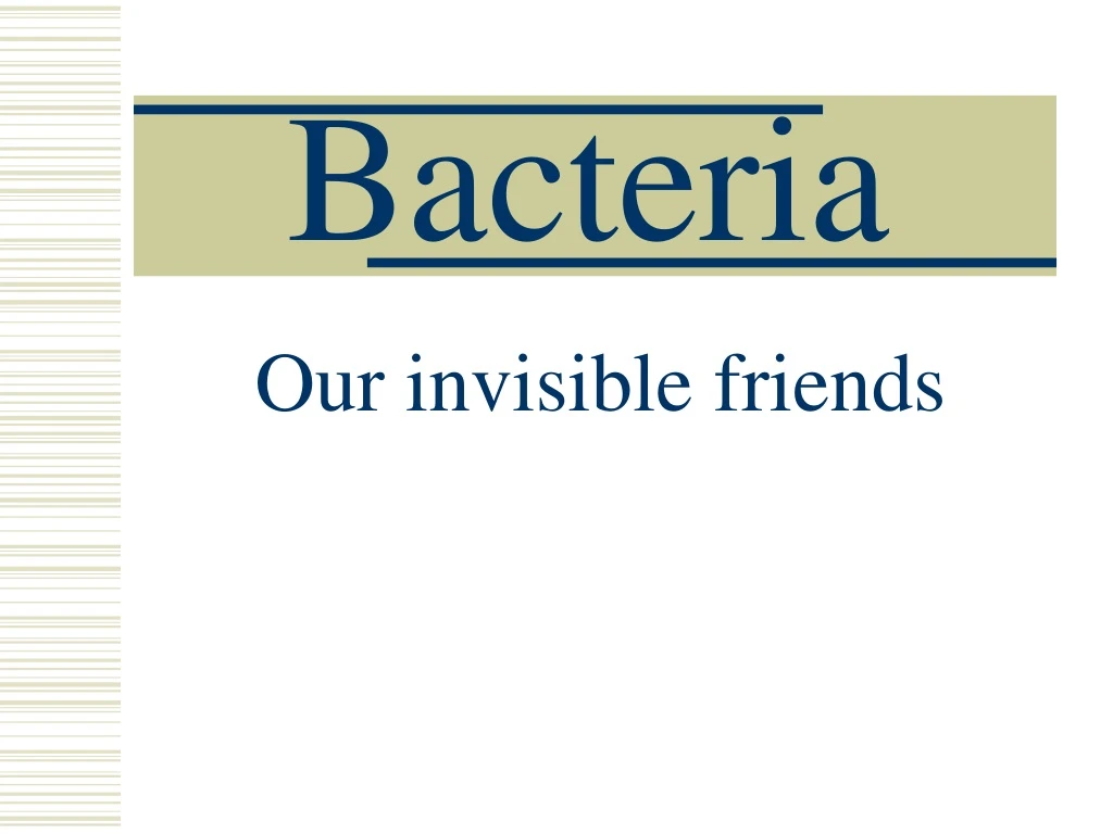 bacteria