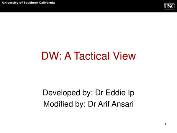 DW: A Tactical View