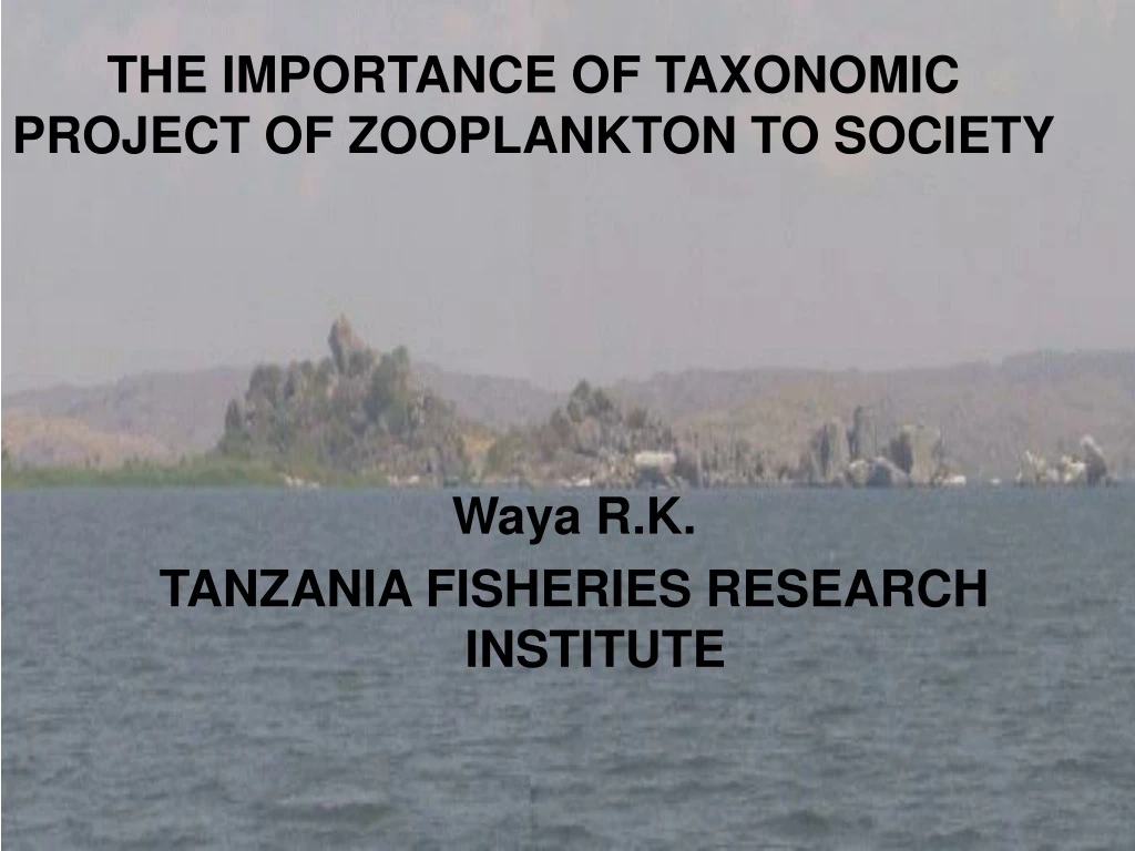 the importance of taxonomic project