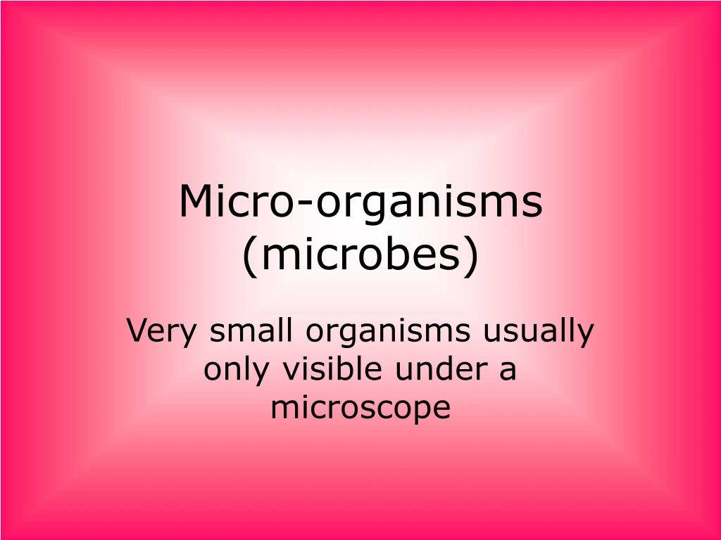 micro organisms microbes