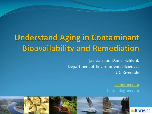 Understand Aging  in Contaminant Bioavailability and  Remediation