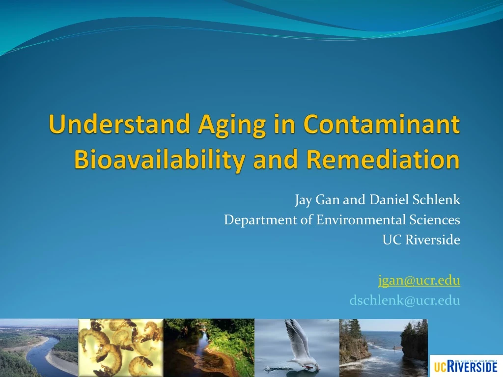 understand aging in contaminant bioavailability and remediation