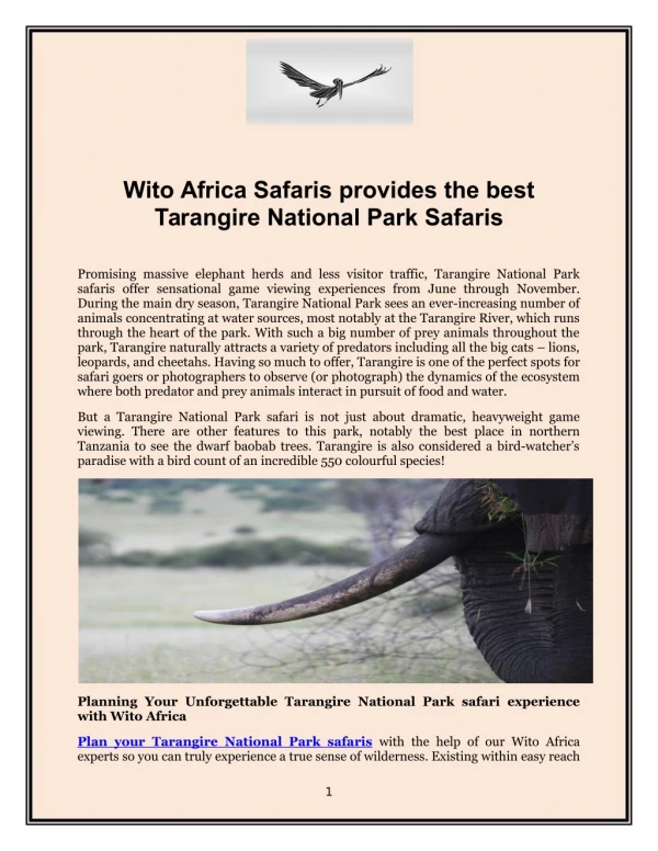 Wito Africa Safaris provides the best Tarangire National Park Safaris | Wito Africa Safaris