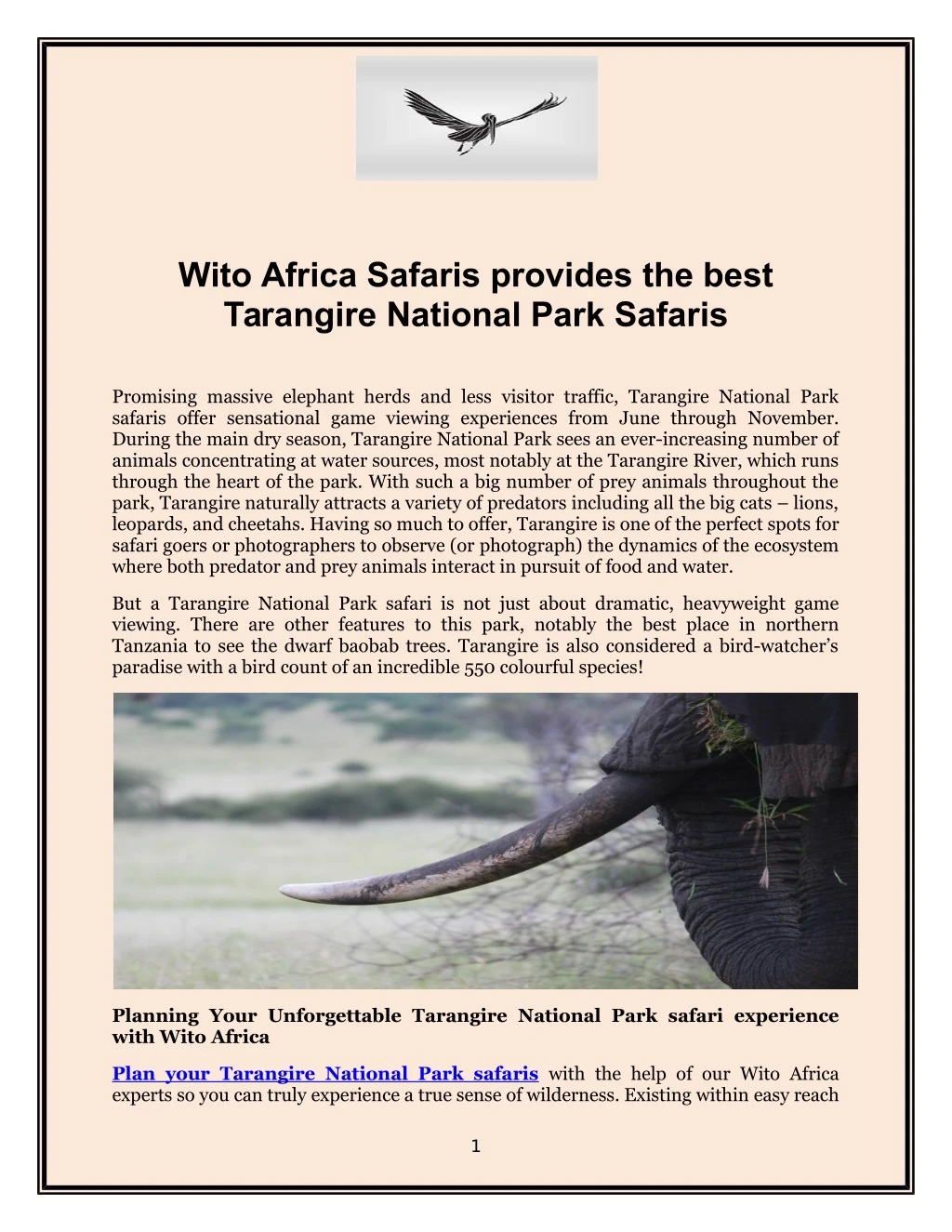 wito africa safaris provides the best tarangire