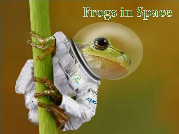 Frogs in Space