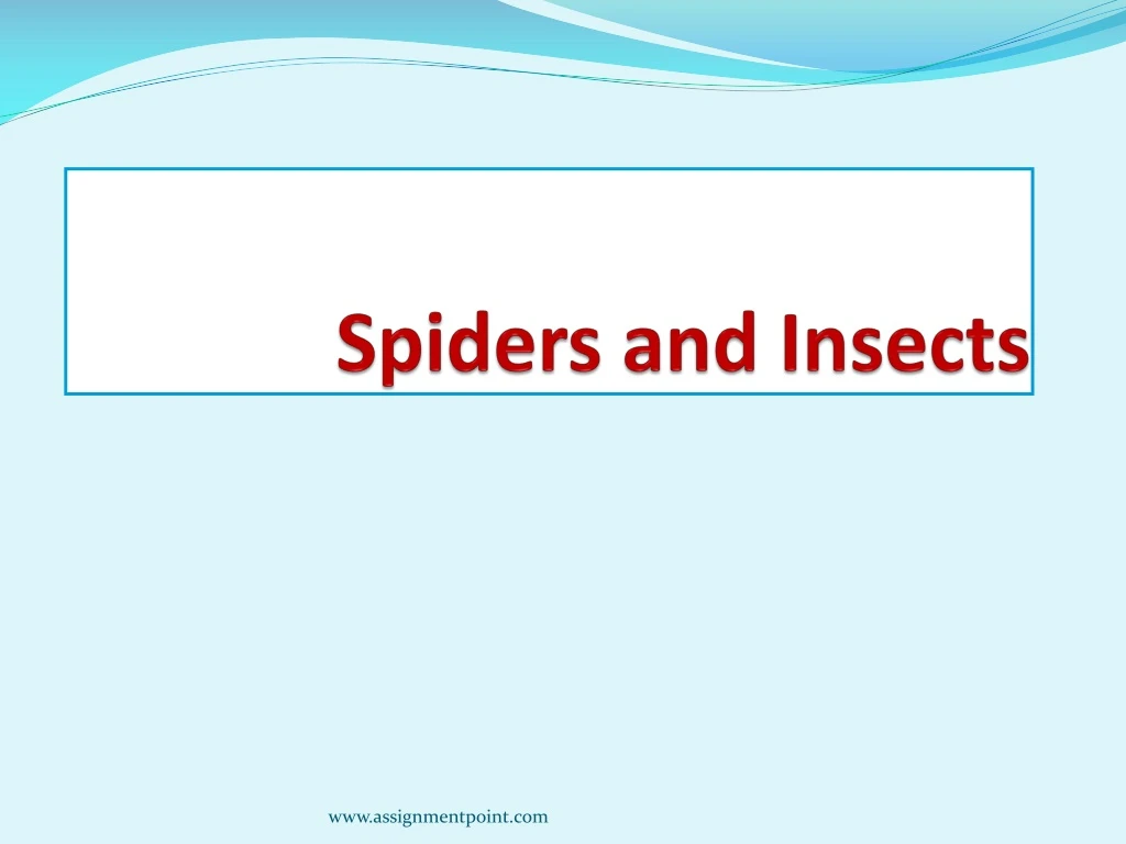 spiders and insects