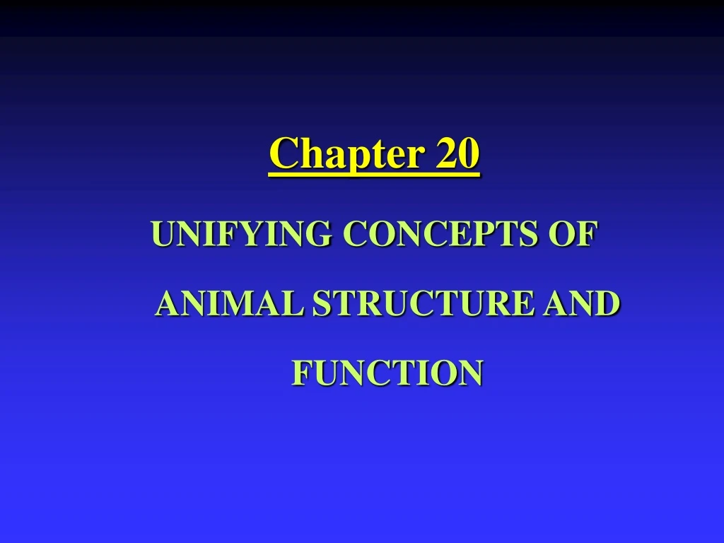 chapter 20 unifying concepts of animal structure