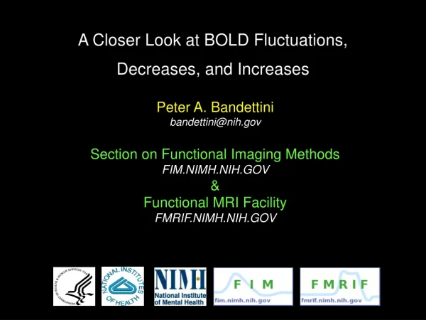 A Closer Look at BOLD Fluctuations, Decreases, and Increases