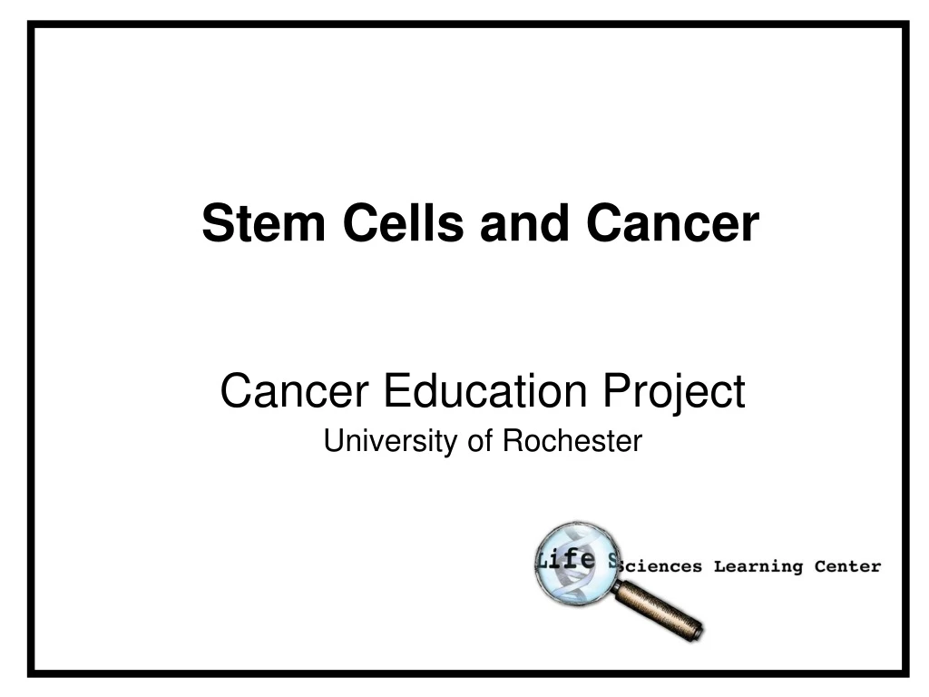 stem cells and cancer