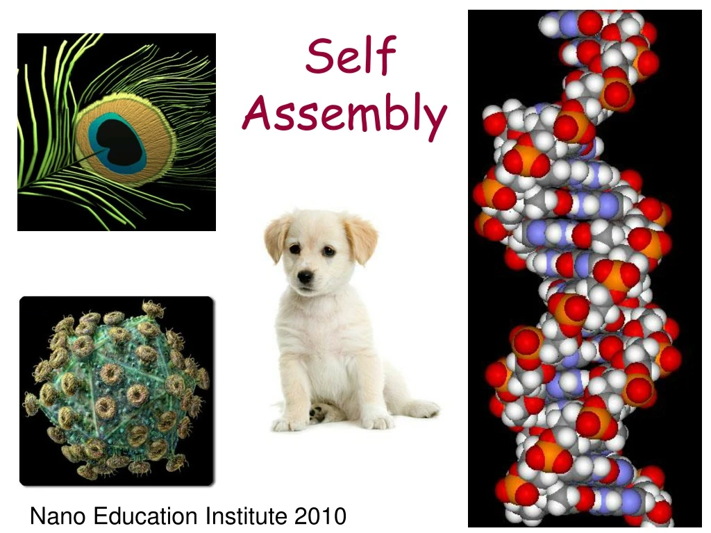 self assembly