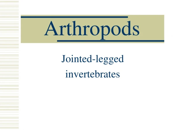 Arthropods