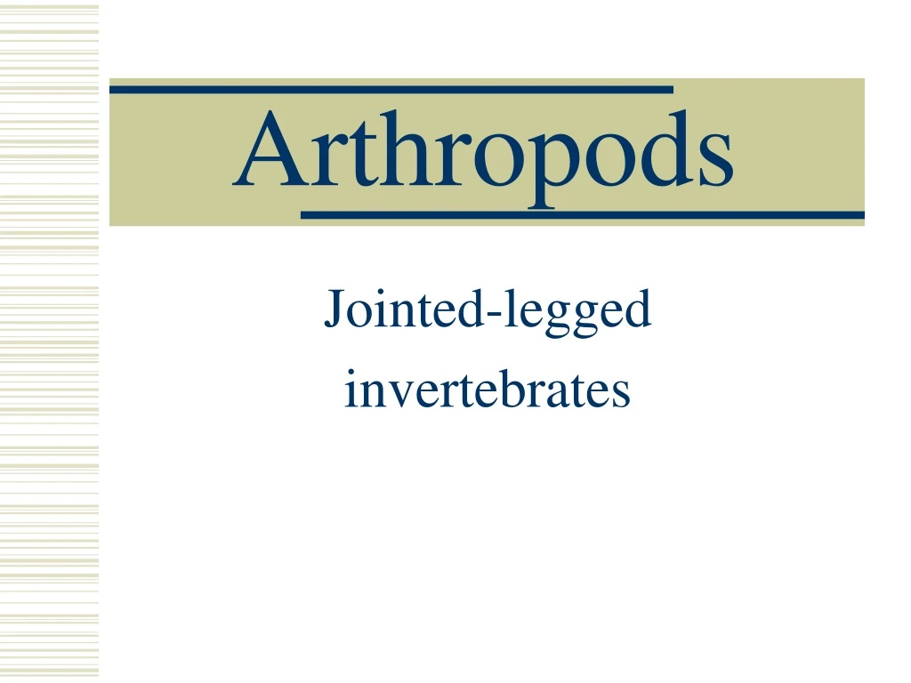 arthropods