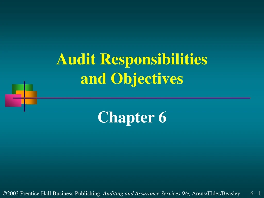 audit responsibilities and objectives