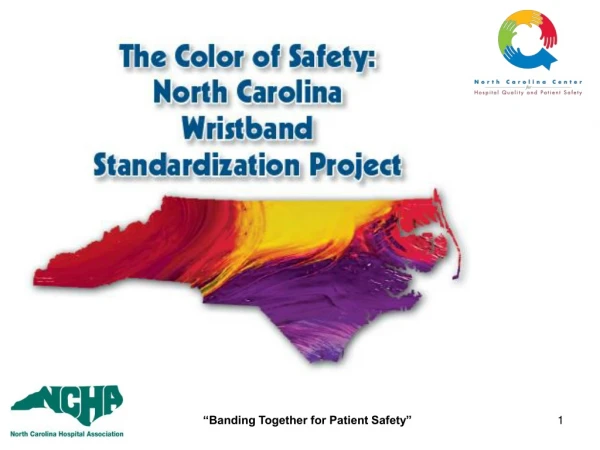 Color-Coded Wristband Standardization in North Carolina  Executive Summary