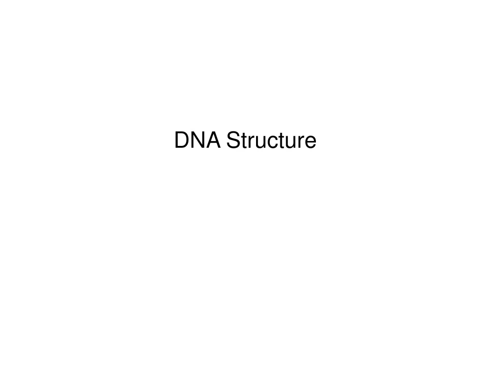 dna structure