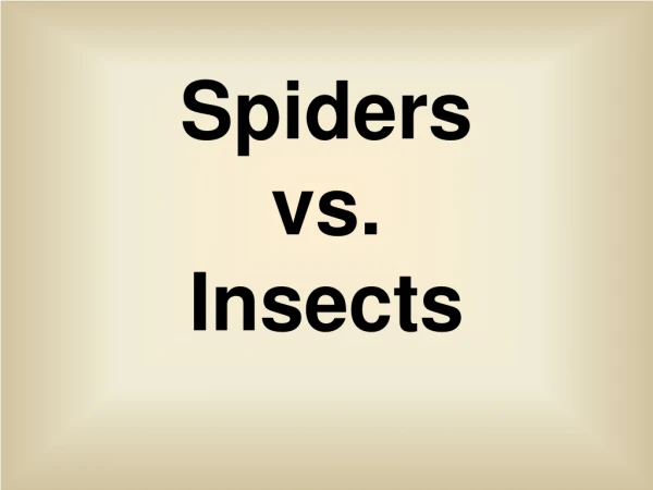 Spiders  vs. Insects