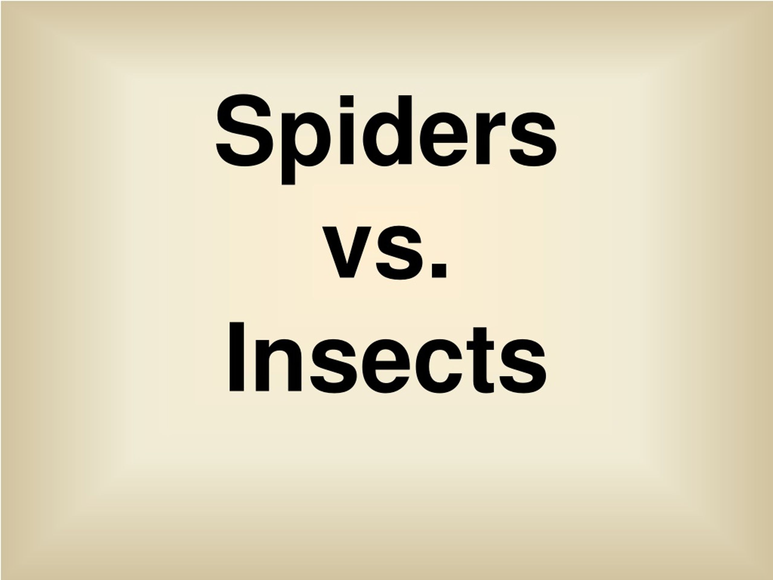 PPT - Spiders vs Insects: Characteristics and Differences in Body ...