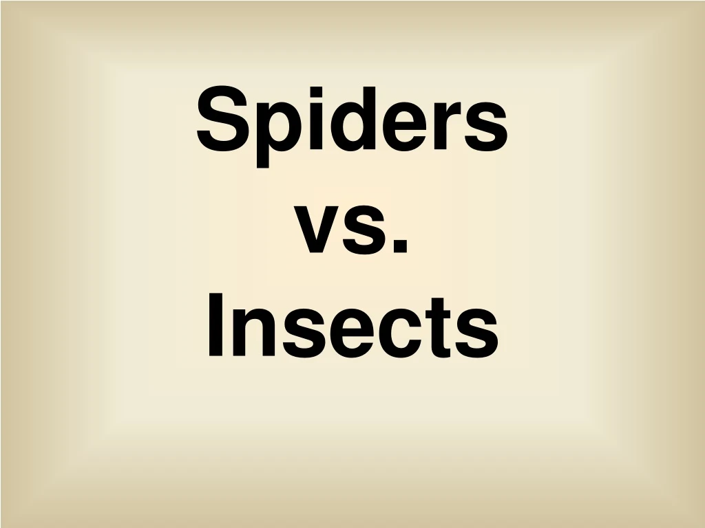 spiders vs insects