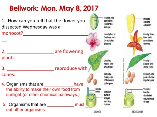 Bellwork :	Mon. May 8, 2017