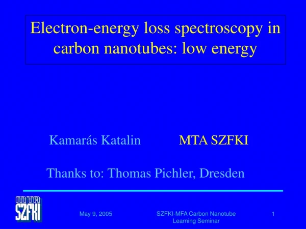 Electron-energy loss spectroscopy in carbon nanotubes: low energy