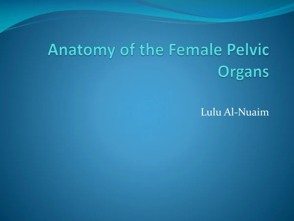 Anatomy of the Female Pelvic Organs