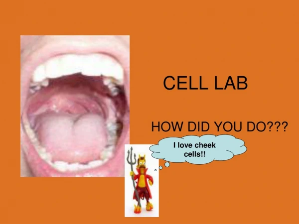 CELL LAB