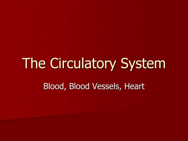 The Circulatory System