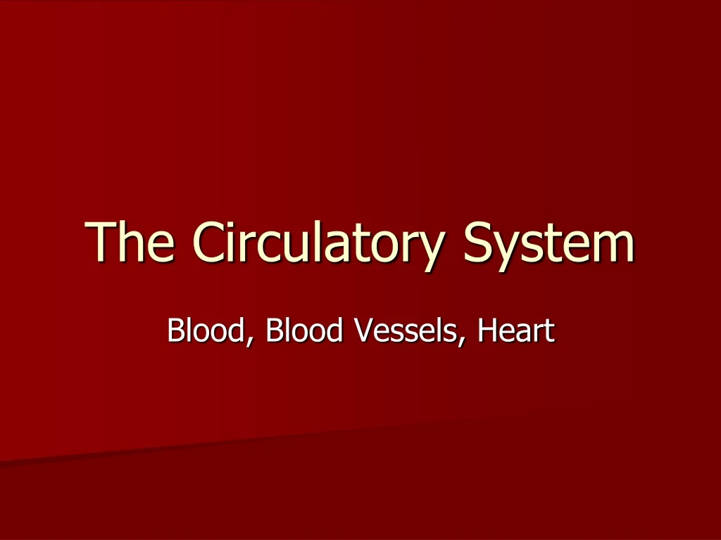 the circulatory system