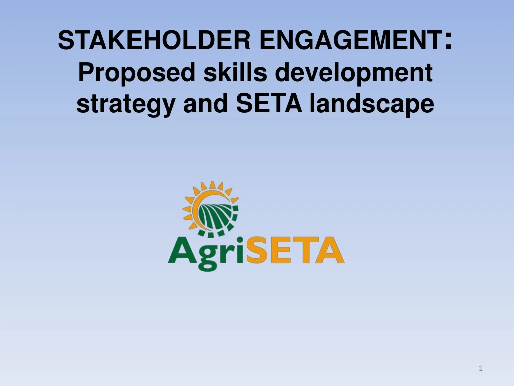 stakeholder engagement proposed skills development strategy and seta landscape