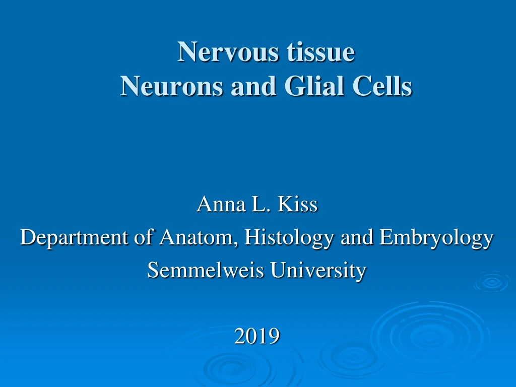 nervous tissue neurons and glial cells