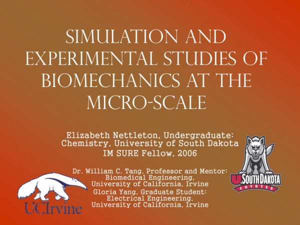 Simulation and Experimental Studies of Biomechanics at the Micro-Scale