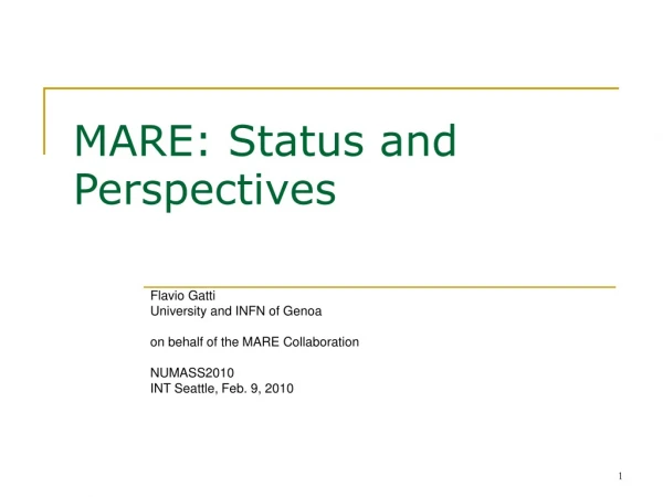 MARE: Status and Perspectives