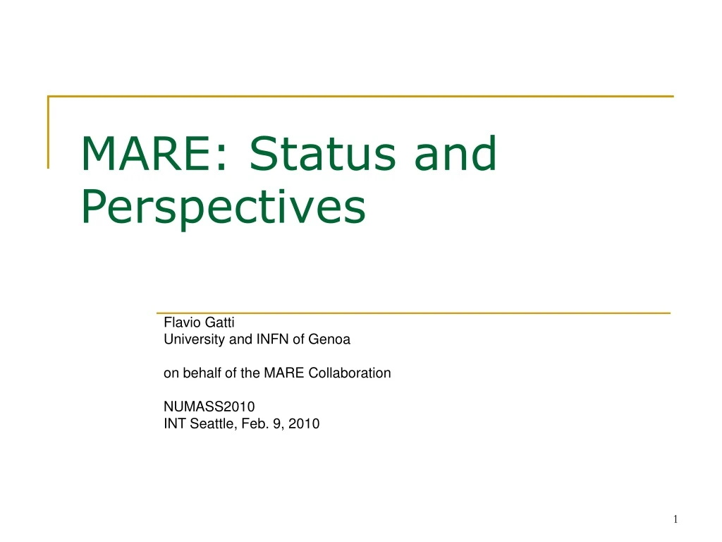 mare status and perspectives