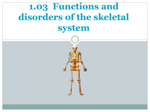 1.03   F unctions and disorders of the skeletal system