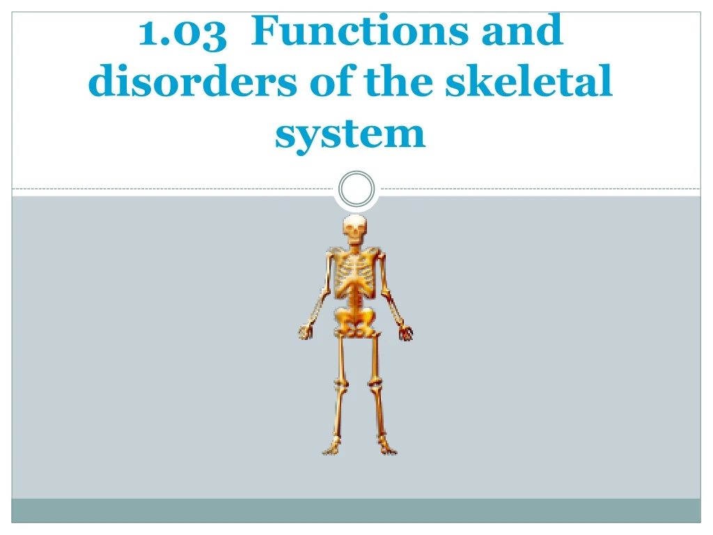 1 03 f unctions and disorders of the skeletal system